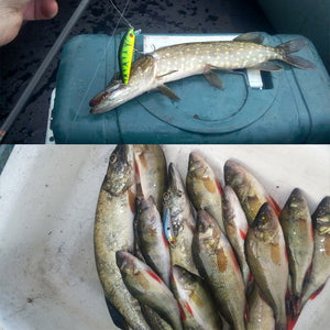 1PCS Fishing Lure Minnow Crankbait Hard Bait Tight Wobble Slow sinking Jerkbait Fishing Tackle