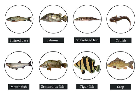 3pcs/lot Fishing Bass bait 10cm 14g 3D Eyes Fishing Jig Bass Lures Rubber Skirt Spinner Buzzbait Lure For Bass