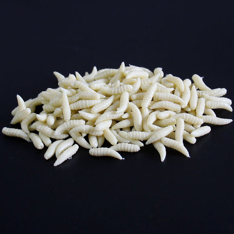 100 pcs 1.5cm 0.12g Maggot Grub Soft Lure Protein Soft Bait Worm Fishing Lures Maggots Grubs Lures Fishing Tackle On Sale JQ02