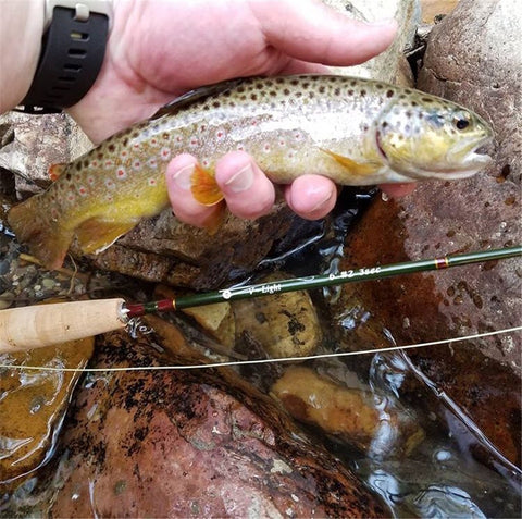 Maximumcatch V-Light 6ft/6.6ft/7ft/7.6ft 1/2/3wt Fly Rod Graphite IM10 Carbon Fiber So Light Weight Fly Fishing Rod