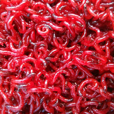 JIGEECARP 1Bag 40g Blood Worm Flavor Additive Red Worm Powder Carp/CatFishing Feeder Bait Boillie Making Material Groundbait