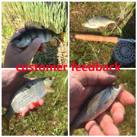 6PCS #14 Trout Bluegill Fishing lures Brass Bead Head Epoxy Nymph Fly Fast Sinking Fishing Hook Bait