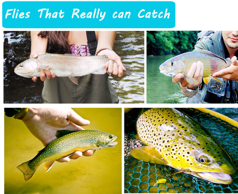 6PCS #14 Trout Bluegill Fishing lures Brass Bead Head Epoxy Nymph Fly Fast Sinking Fishing Hook Bait